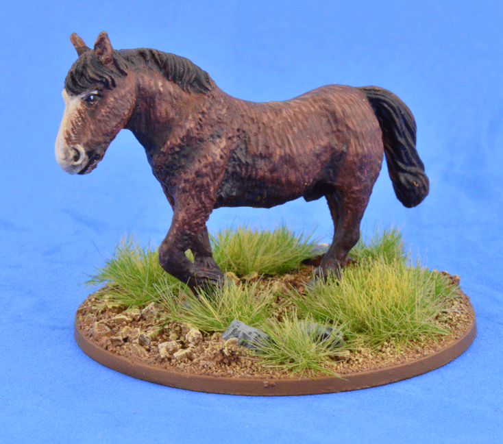 Shaggy Pony (Bareback)