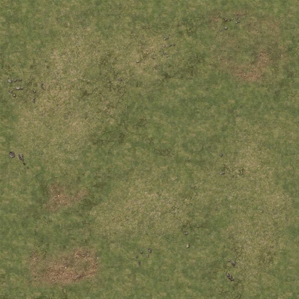 Battle Systems: Grassy Fields Gaming Mat 2'x2' v.1
