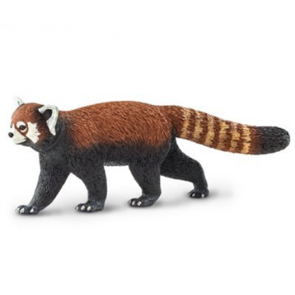 Safari Ltd: Red Panda