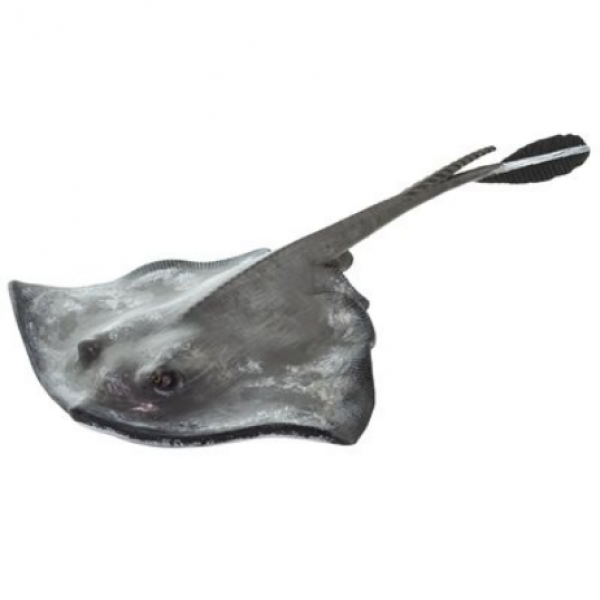 Safari Ltd: Sting Ray