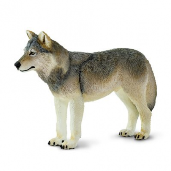 Safari Ltd: Gray Wolf