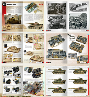AMMO: Tigers – Modelling the Ryefield Family