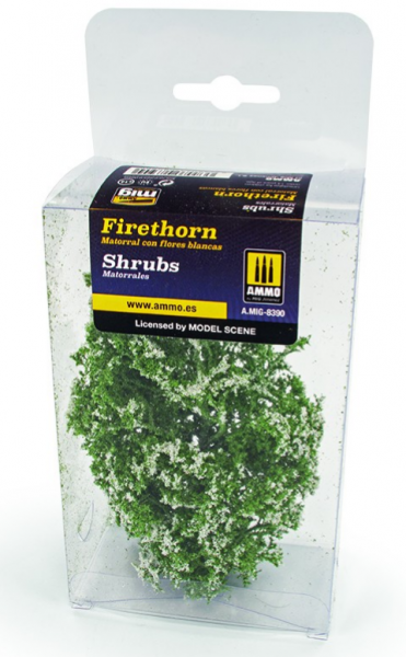 AMMO: Shrubs – Firethorn