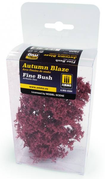 AMMO: Fine Bush – Autumn Blaze