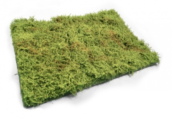 AMMO: Grass Mats - Wilderness Fields with Bushes (Spring)