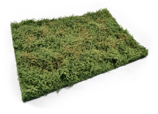 AMMO: Grass Mats - Wilderness Fields with Bushes (Early Summer)