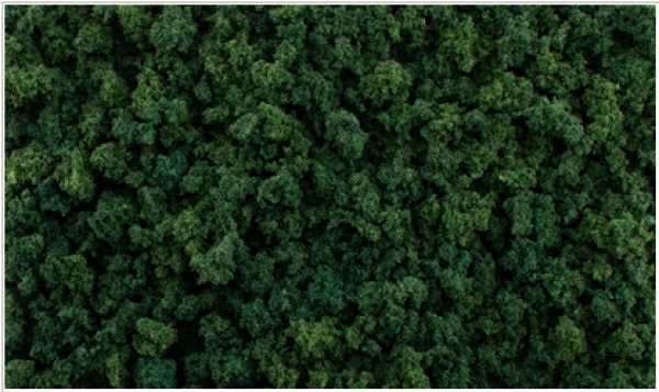 Woodland Scenics: All Game Terrain Ground Cover - Dark Green Foliage Clumps