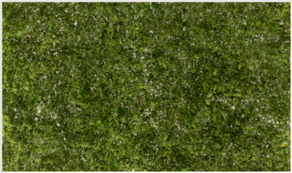 Woodland Scenics: All Game Terrain Accents - Light Green Super Foliage