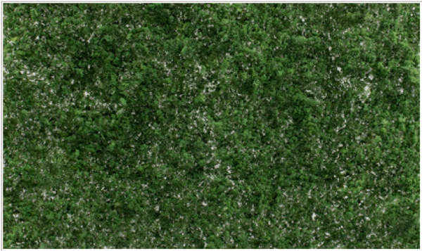 Woodland Scenics: All Game Terrain Accents - Dark Green Super Foliage