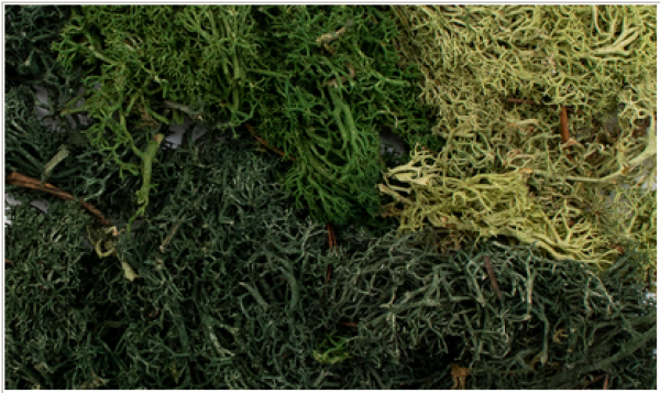 Woodland Scenics: All Game Terrain Accents - Summer Mix EZ Bushes