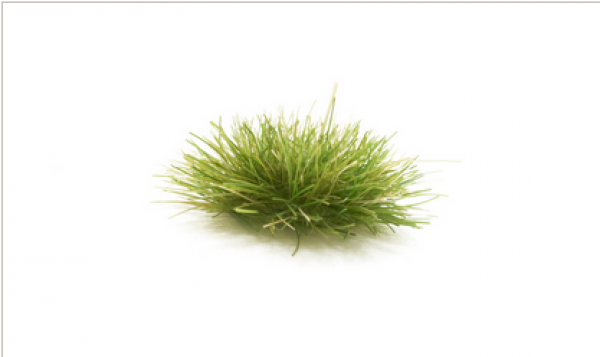 Woodland Scenics: All Game Terrain Peel ‘n’ Plant Tufts - Dark Green Tufts