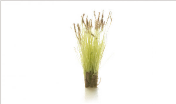 Woodland Scenics: All Game Terrain Peel ‘n’ Plant Tufts - Cattails Tufts
