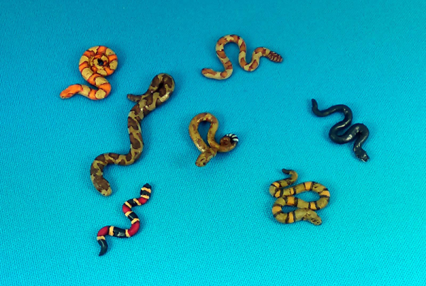 Dead Mans Hand: Snakes! Pack