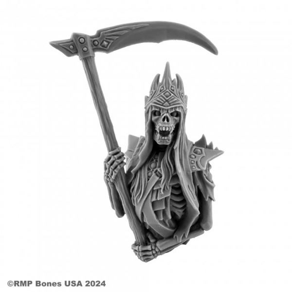 Special Edition Figures: ReaperCon 2024 Hall of Fame Bust: Null the Reaper