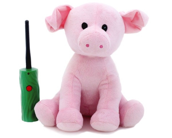 Hide & Seek Pals: Peaches the Pig