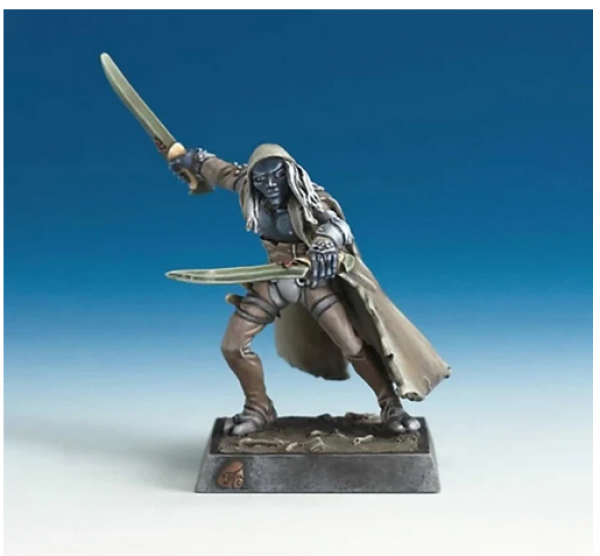 Reaper Miniatures: Tharnyx Shadeborn, Elf Rogue
