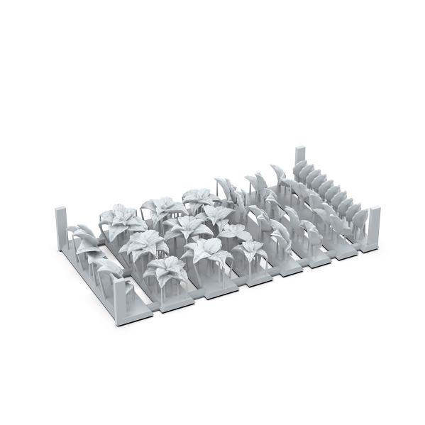 AK-Interactive: Basing Bits Forest Leaves