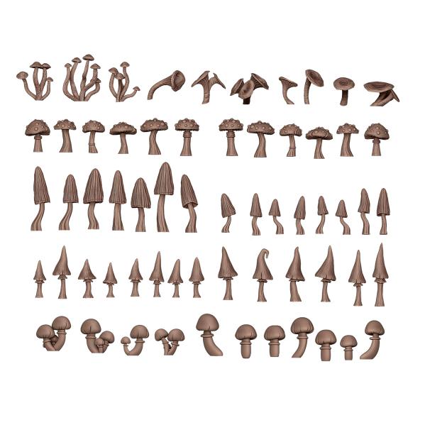 AK-Interactive: Basing Bits Forest Mushrooms