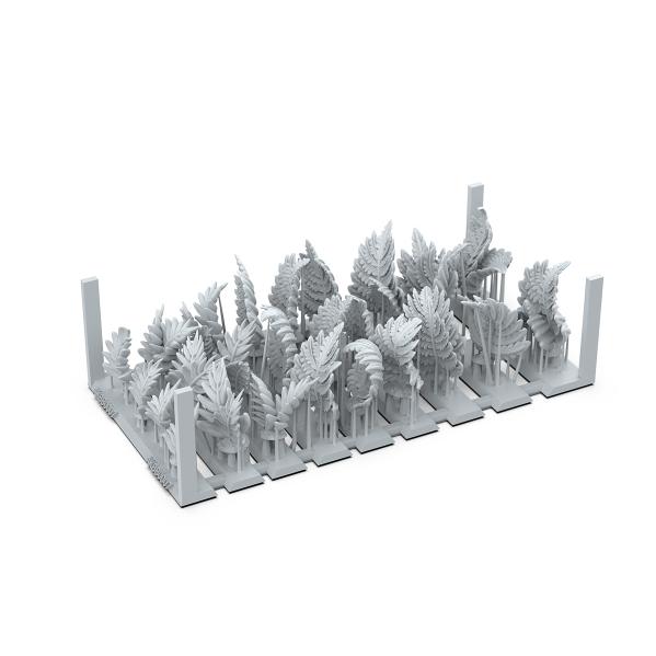 AK-Interactive: Basing Bits Fern