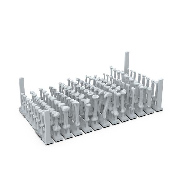 AK-Interactive: Basing Bits Human Bones