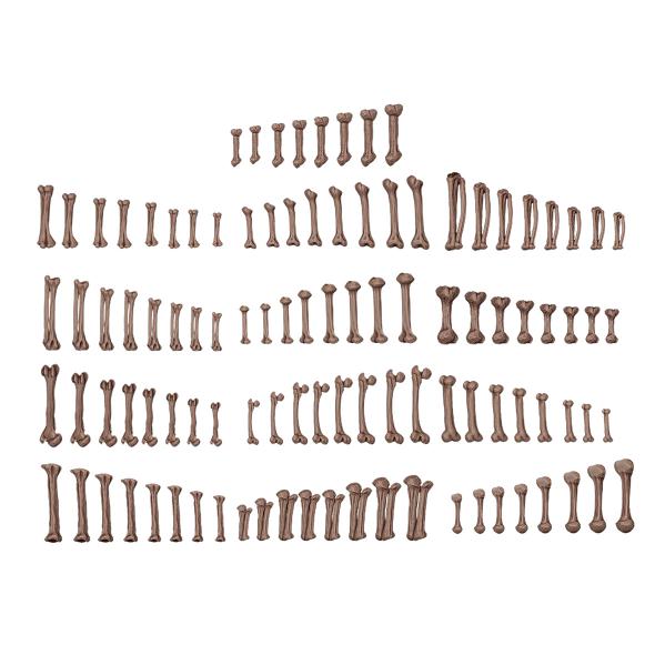 AK-Interactive: Basing Bits Human Bones
