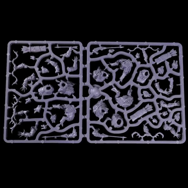 Kings Of War: Xirkaali Plainstalker/Wildfangs Regiment