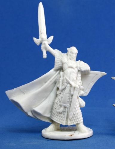 Turanil, Male Elf Paladin