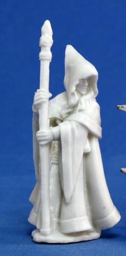 Anirion, Wood Elf Wizard